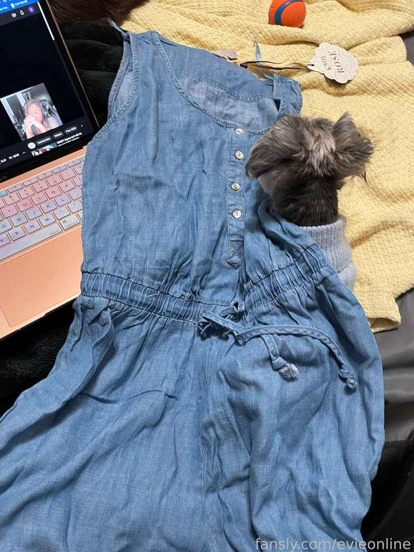 onlineevie image #5