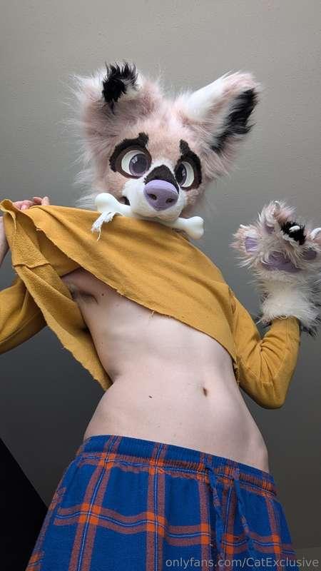 catexclusive image #1