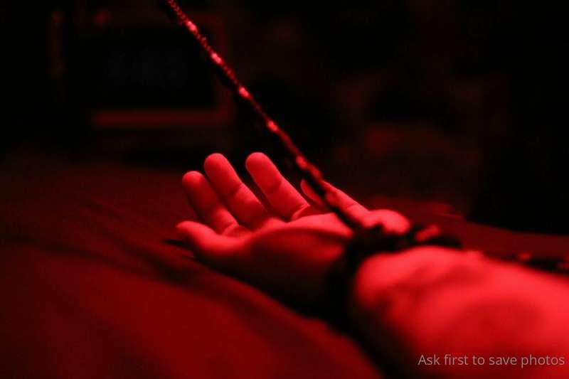 kitten-lunae-lumen image #0