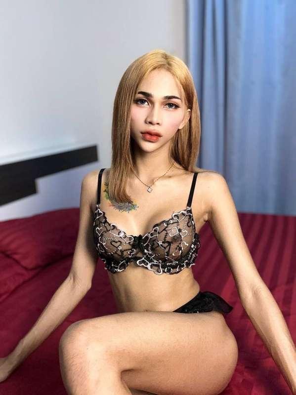 🍬 𝐂𝐚𝐧 𝐲𝐨𝐮 𝐡𝐚𝐧𝐝𝐥𝐞 𝐭𝐡𝐢𝐬 𝐩𝐞𝐭𝐢𝐭𝐞 𝐬𝐰𝐞𝐞𝐭 Ladyboy Slut? 🍭 @transamm..