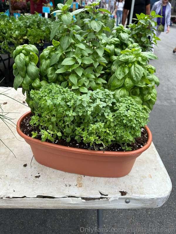 How many of you use fresh herbs when you cook? 🌿👩‍🍳