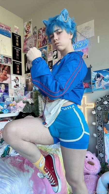 indigowhite image #323