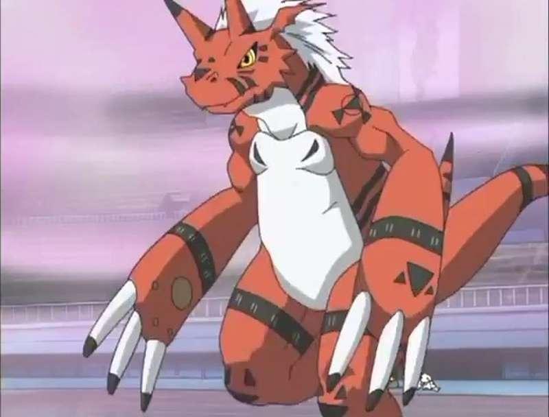 Growlmon Macro?