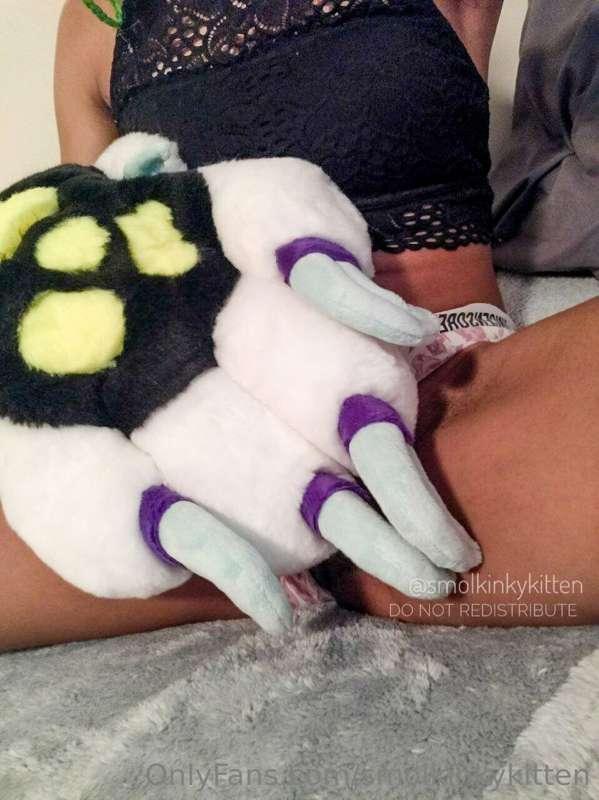 Any paw lovers? How about a hint of size difference as well?..