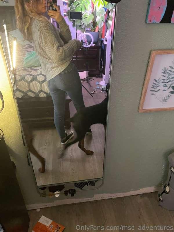 msc_adventures image #0