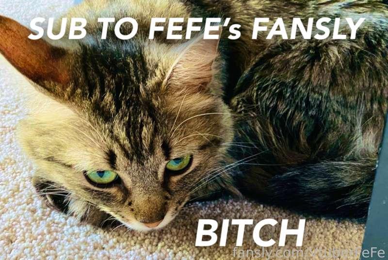Do what my pussy says…