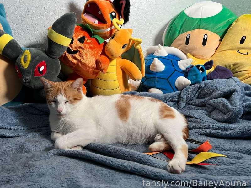 baileyabunai image #1