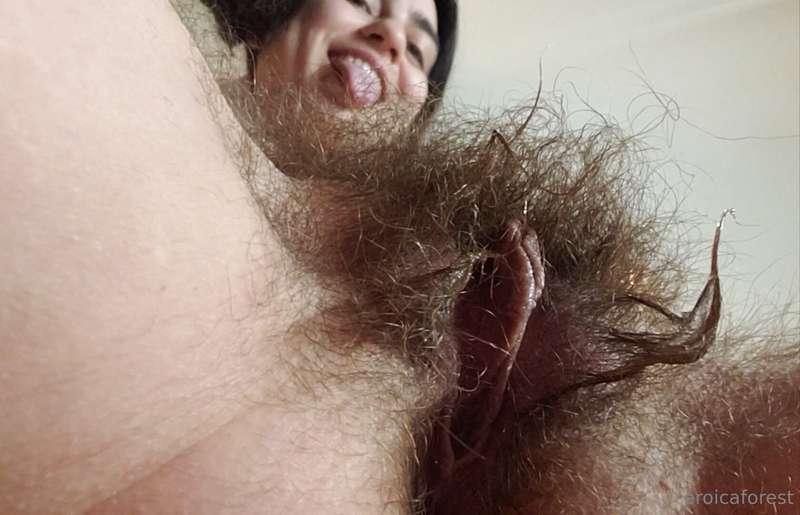I just found this incredible photo of my wet and wild bush a..