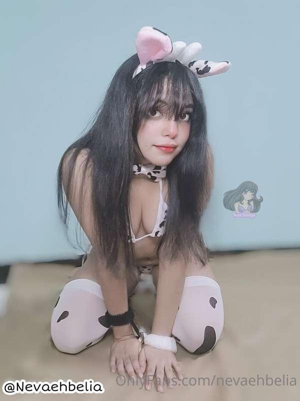 moo? 🐮