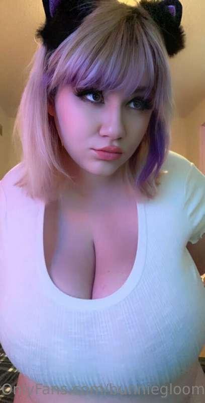 Meow or something