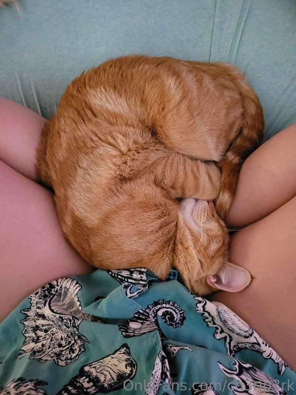 Unsolicited pussy pic