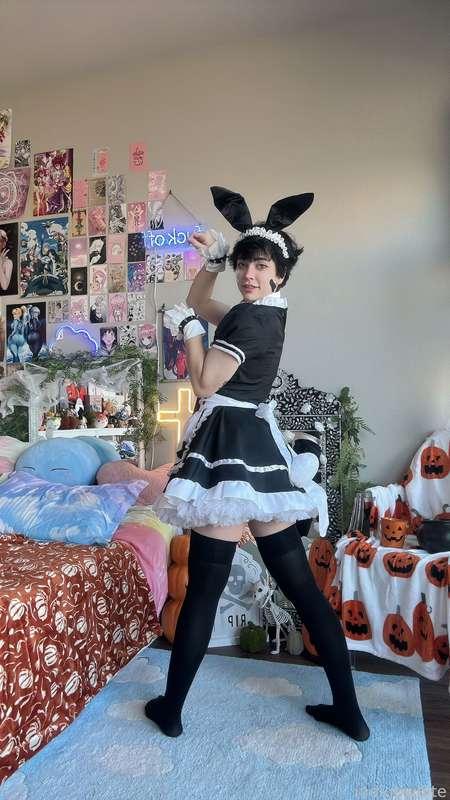 indigowhite image #42