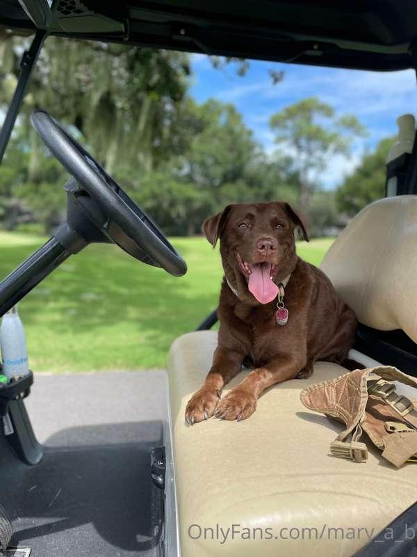 Glory loves coming golfing with me 🏌🏼‍♀️ Wanna join us?