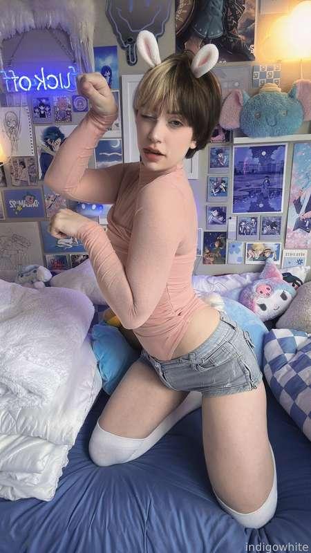 indigowhite image #7