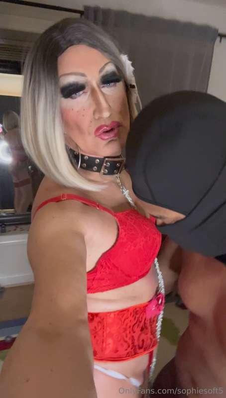 sophiesoft5 image #11