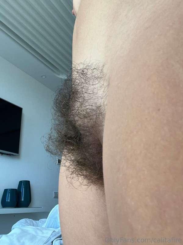 A nice bushy closeup for you Un bonito primer plano tupido p..