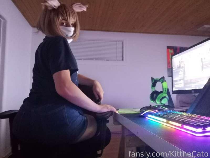 kitthecato image #91