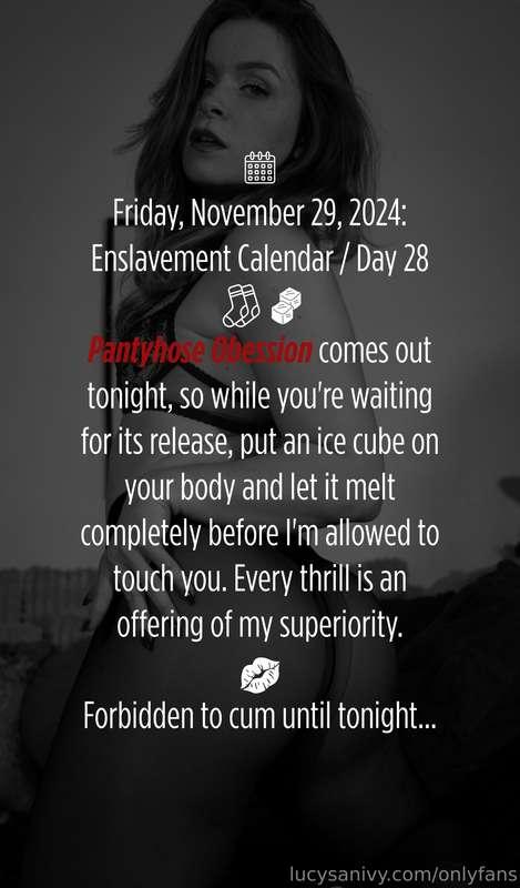 lucy_sanivy main image