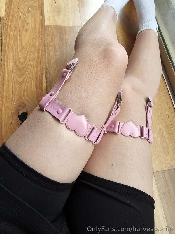 harvestsprite image #0