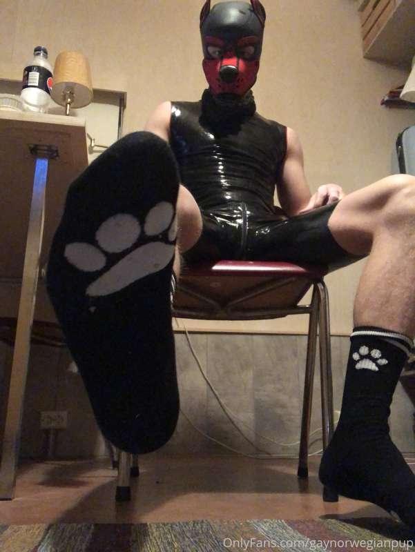 Want to sniff my paw?😎