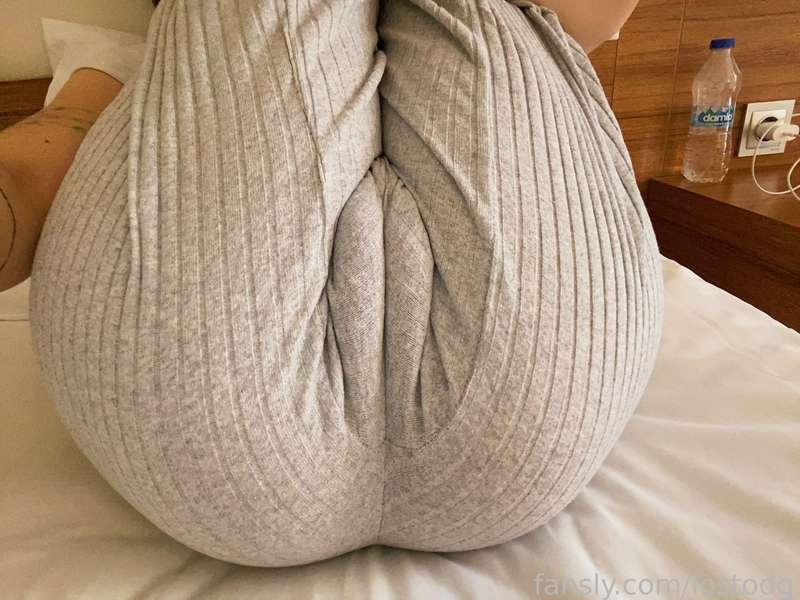 lostodg image #1