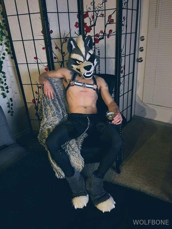 Hope everyone’s having a happy start to their New Year! I’ve..