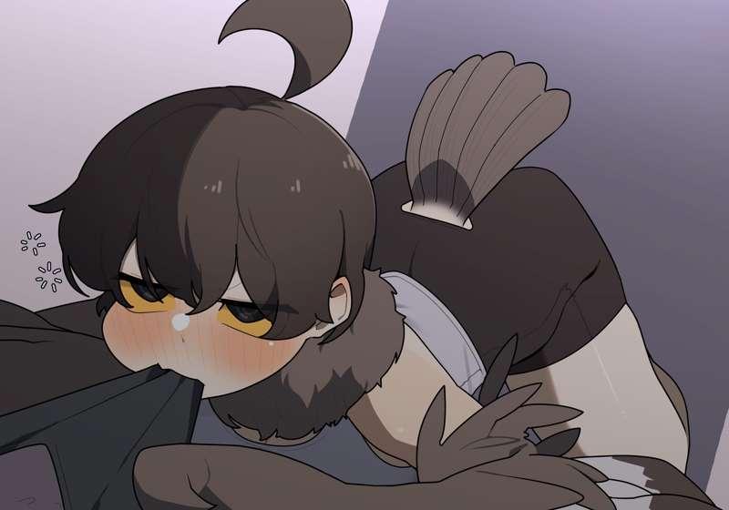The Owl girl's name has been decided!