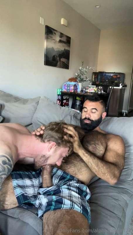alphatopwolf22 image #1