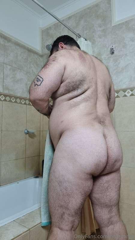 bearpamp image #4