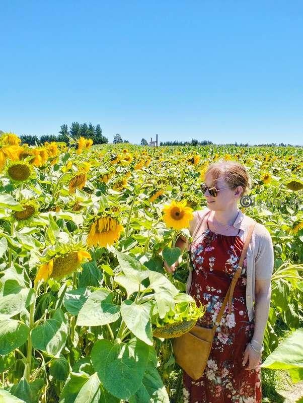 I've been a bit sad so went out today.This week is due to be..