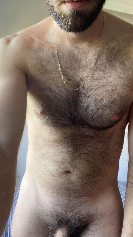 Hairy 🐻
