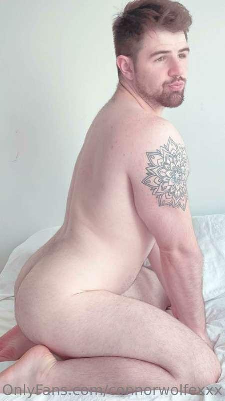 connorwolfexxx image #0