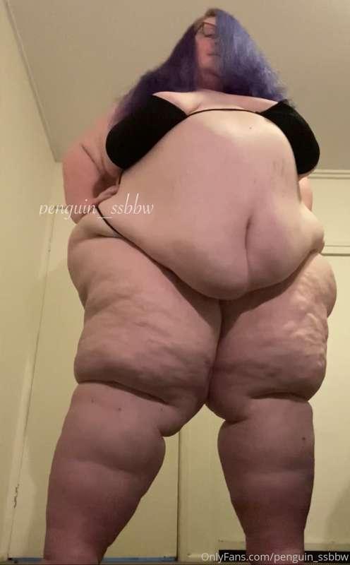 penguin_ssbbw image #1