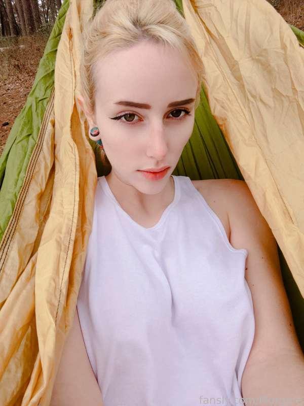 morgpie image #3