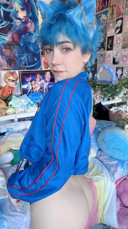 indigowhite image #187