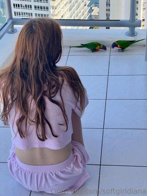 Lorikeets! 😍🦜