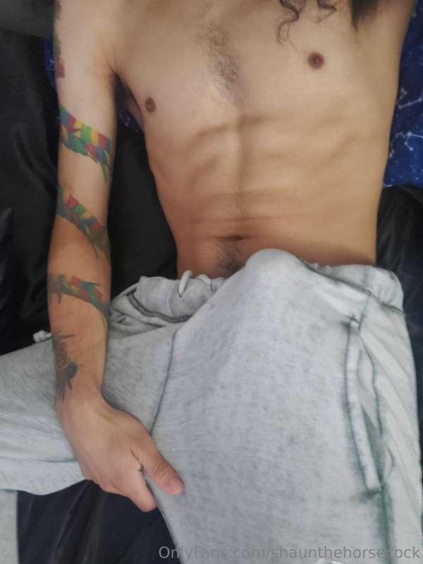 shaunthehorsecock image #2