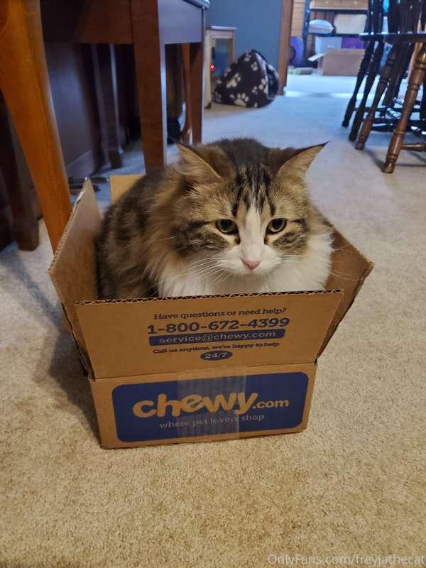 Once I'm in my impenetrable fortress, nothing can get me out..