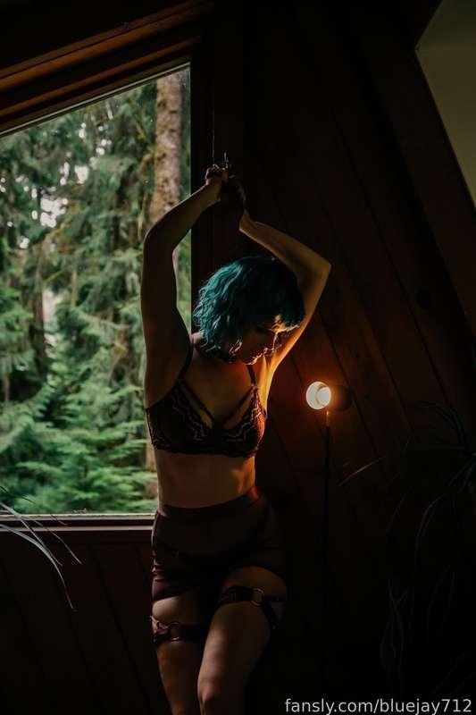 bluejay712 image #29
