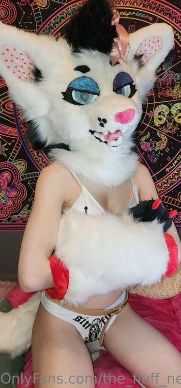 the_fluff_nextdoor main image