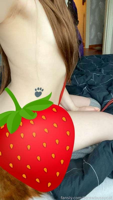 strawbussycat image #2