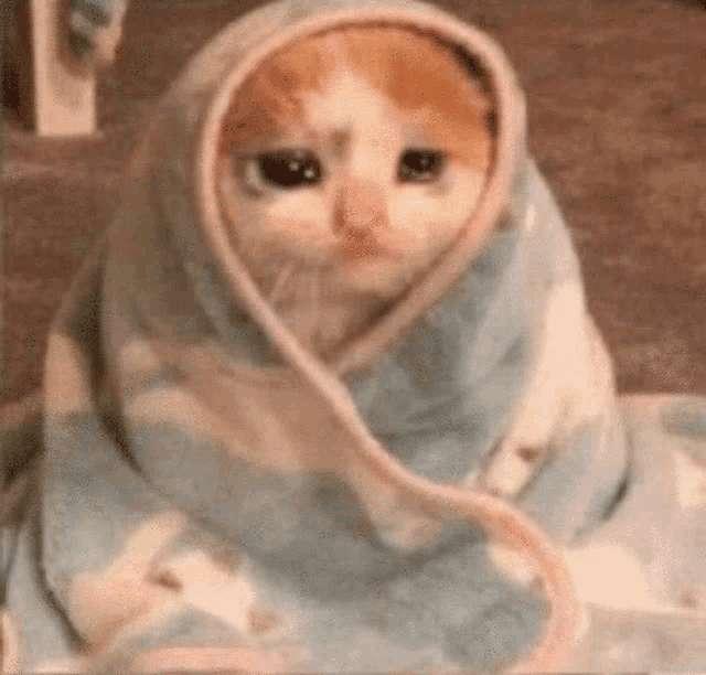 No vid tomorrow:(