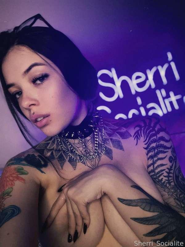 sherri_socialite image #1