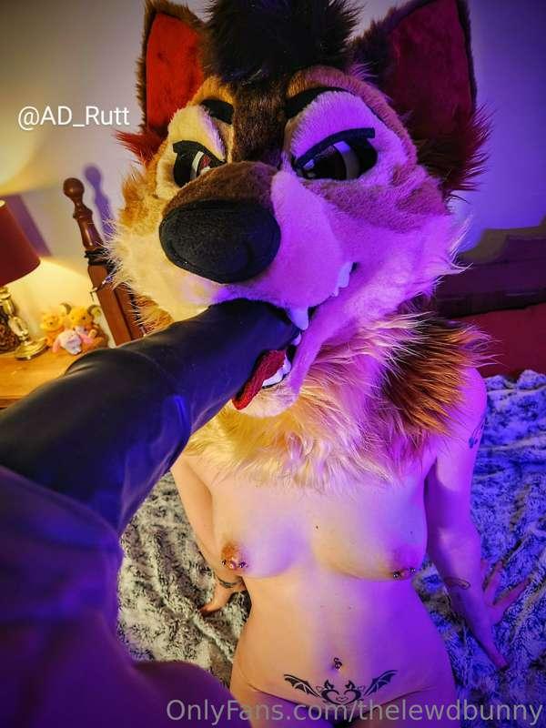 ad_rutt image #1