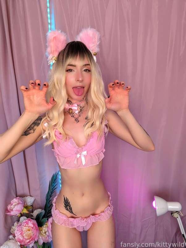 Wanna pet me, Daddy? 🐈💖
#fyp #blonde #teen #smallboobs #pussy