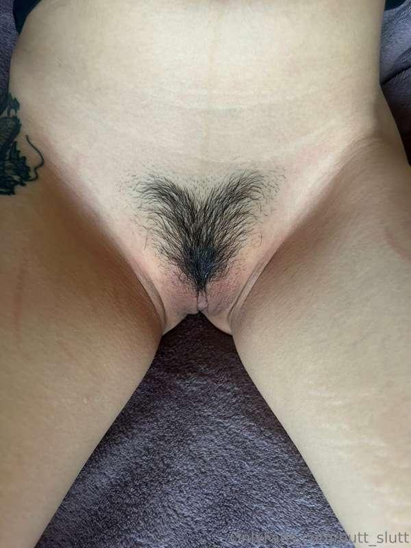 Little bush closeup 🖤