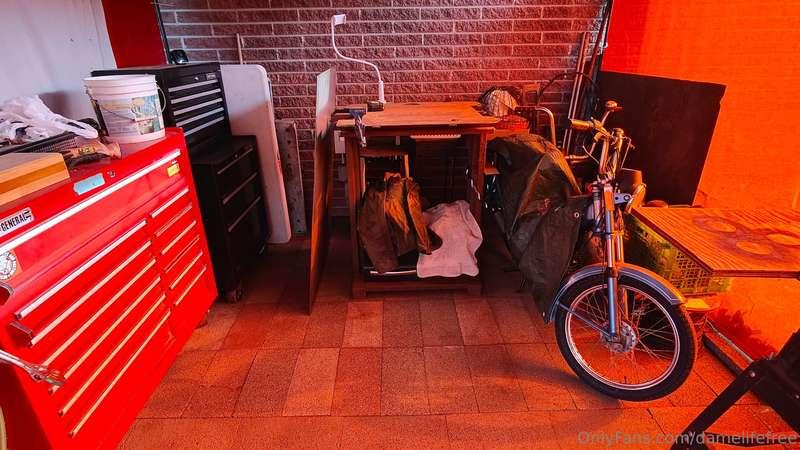 damelifefree image #0