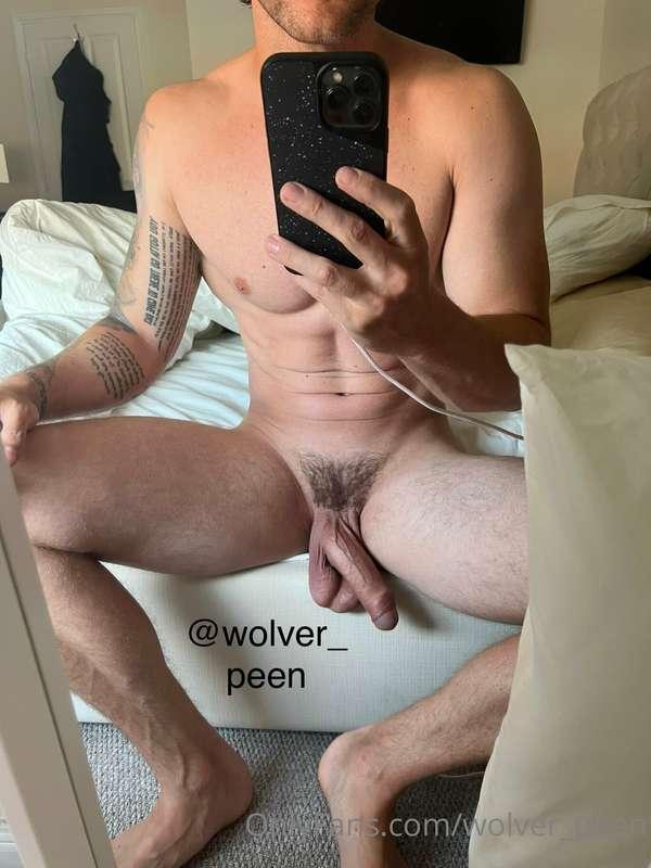 wolver_peen image #2