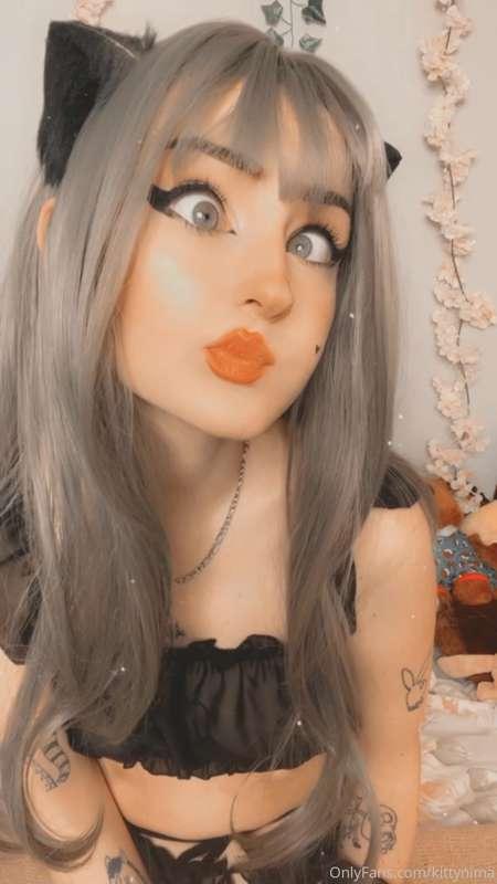 nimapie image #4