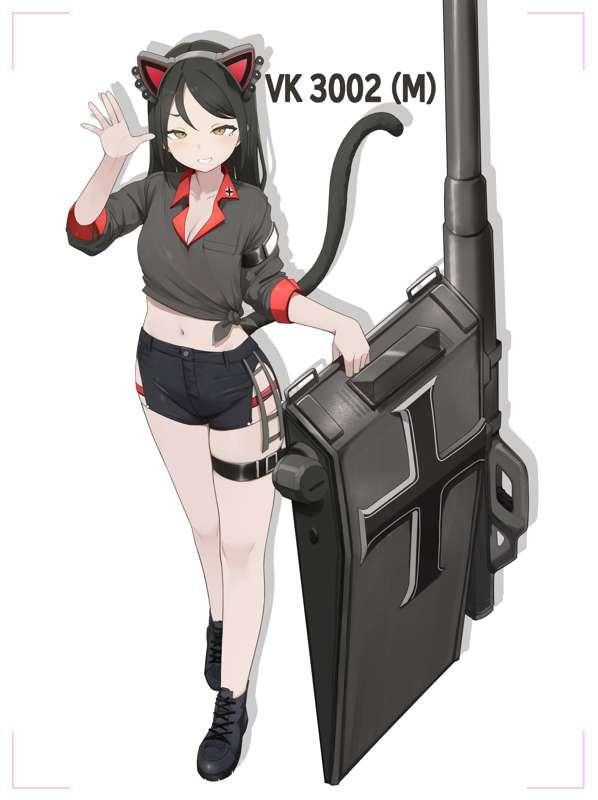 VK 3002 (M)